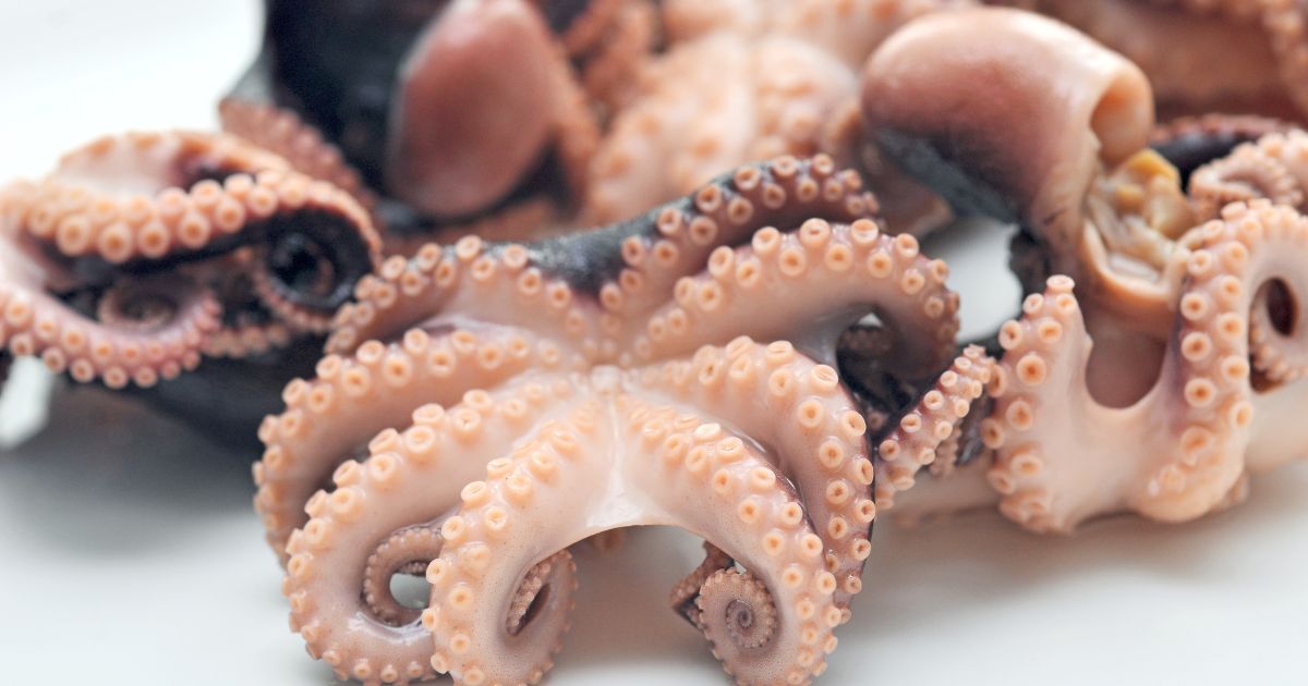 Octopuses