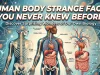 Human Body Strange Facts You Never Knew Before human body strange facts